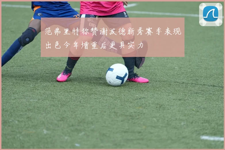 范弗里特称赞谢泼德新秀赛季表现出色今年增重后更具实力